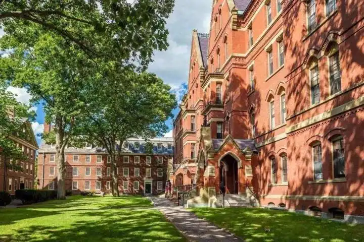 ������������ѧ��ѧ����Щ����