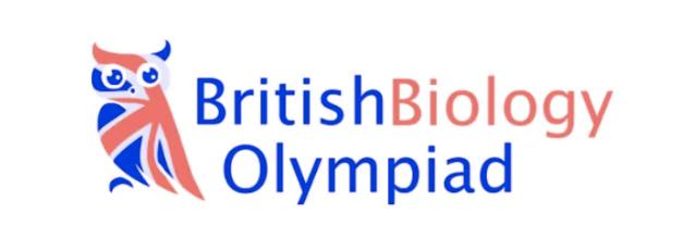 2025������er�س�Ķ���������BBOӢ��������� !һƪ�㶮BBO������+��������~