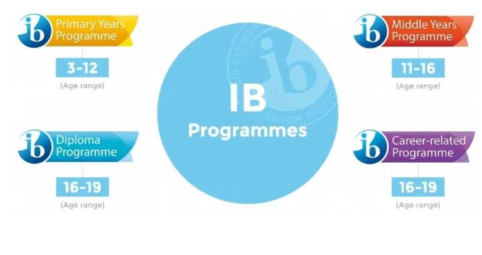 IB�γ̵���ѧʲô�������������ѡ���IB�γ��ʺ���Щ���ӣ�