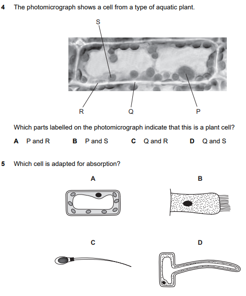 igcse生物考试真题讲解 igcse生物考试真题讲解