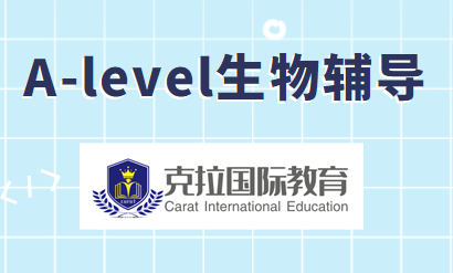 alevel�����Чѧϰ����