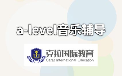 A-level���ֿγ�һ��һ����