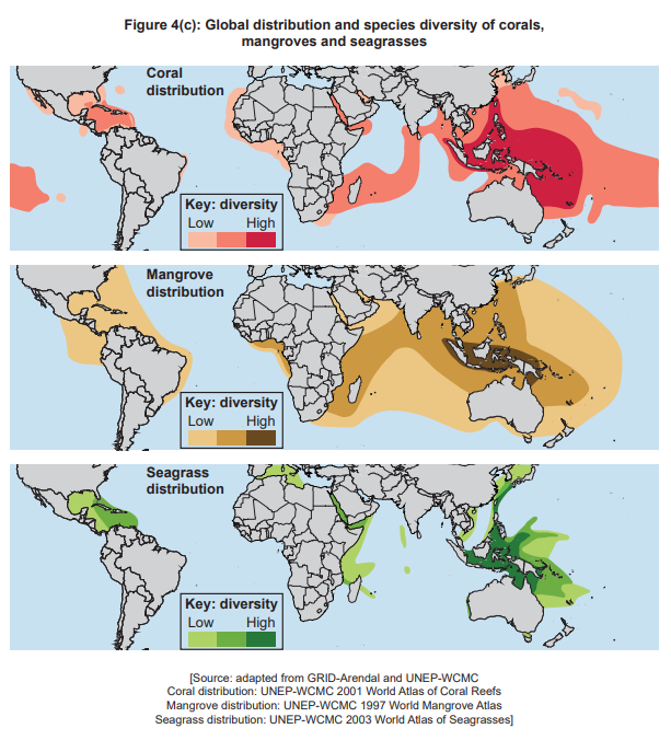 IB������IB������ѧ�������