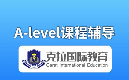 A-level��Ϣ�����γ̸���