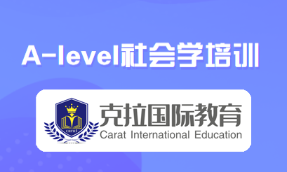 alevel���ѧ��ѵ�γ̽���