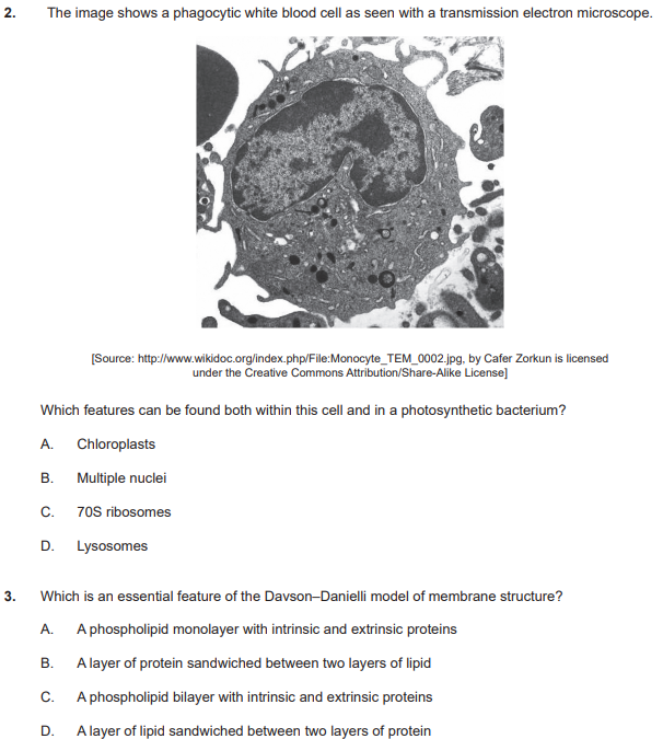 IB�������⽲��