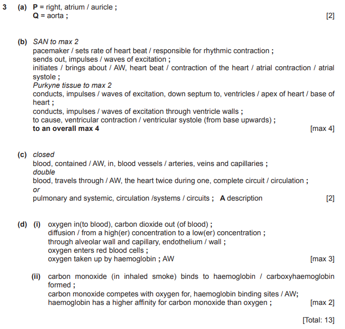A-level���￼�����⽲��