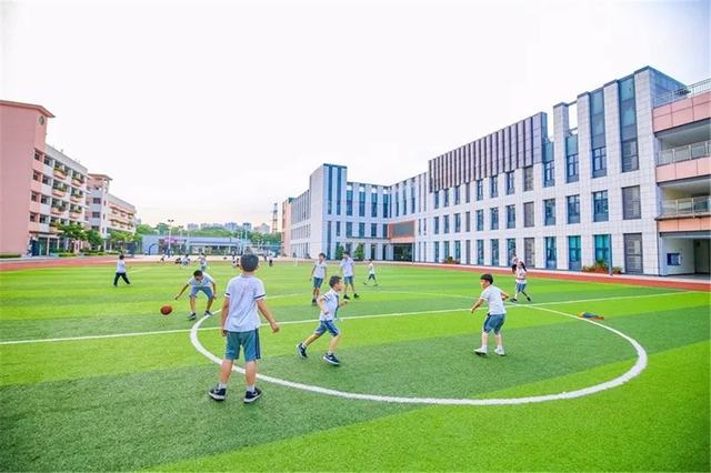 ���ڷ�Ҷ����ѧУ