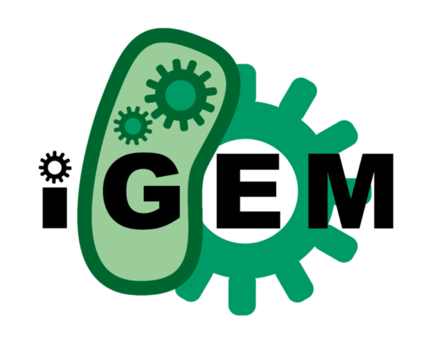 �������� | iGEM�����Ŵ����̻�������