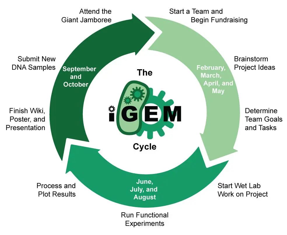 �������� | iGEM�����Ŵ����̻�������