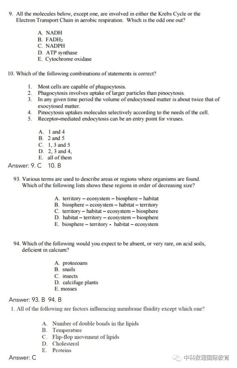 Ӣ���������ƥ�ˣ�BBO��