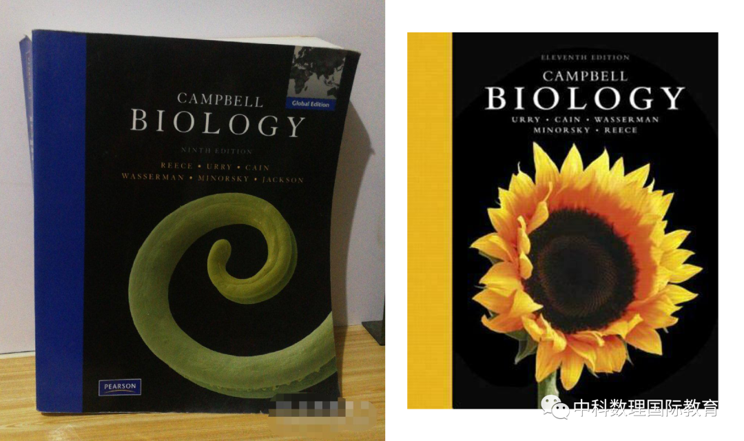 Ӣ���������ƥ�ˣ�BBO��