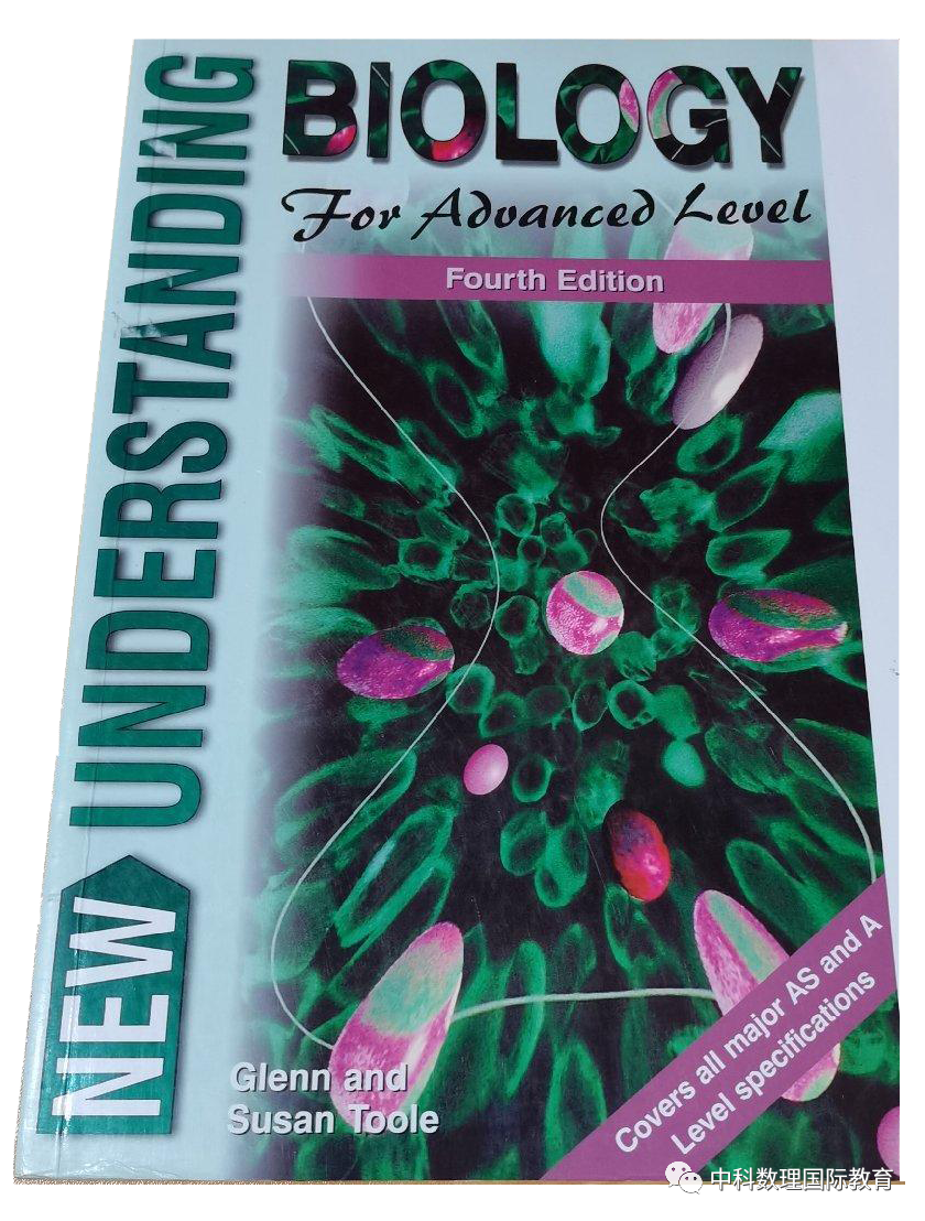 Ӣ���������ƥ�ˣ�BBO��