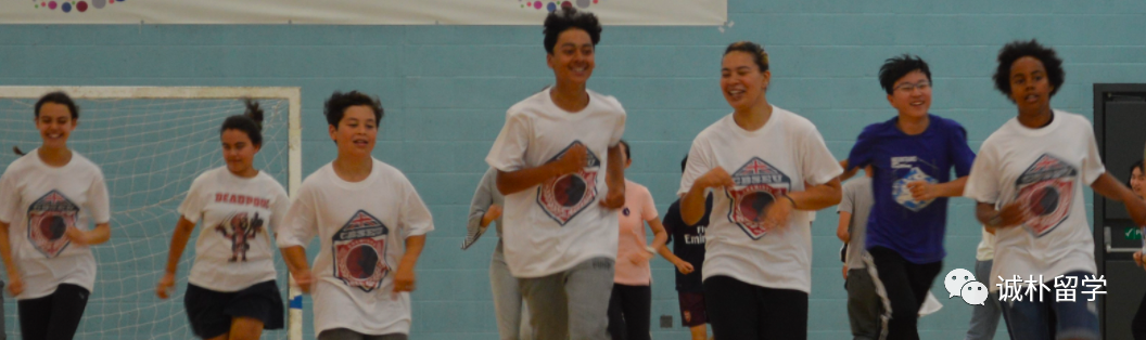 ����̽�����������ӢSTEAM���´�������ѡ����������