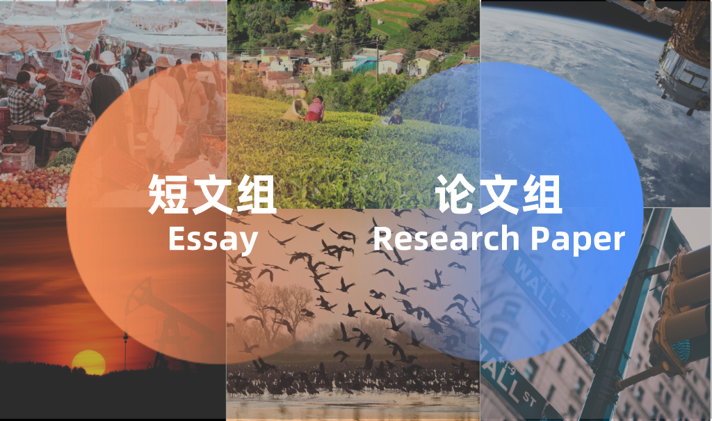 ������ʸ���������ѧ��д����ս���＾��������