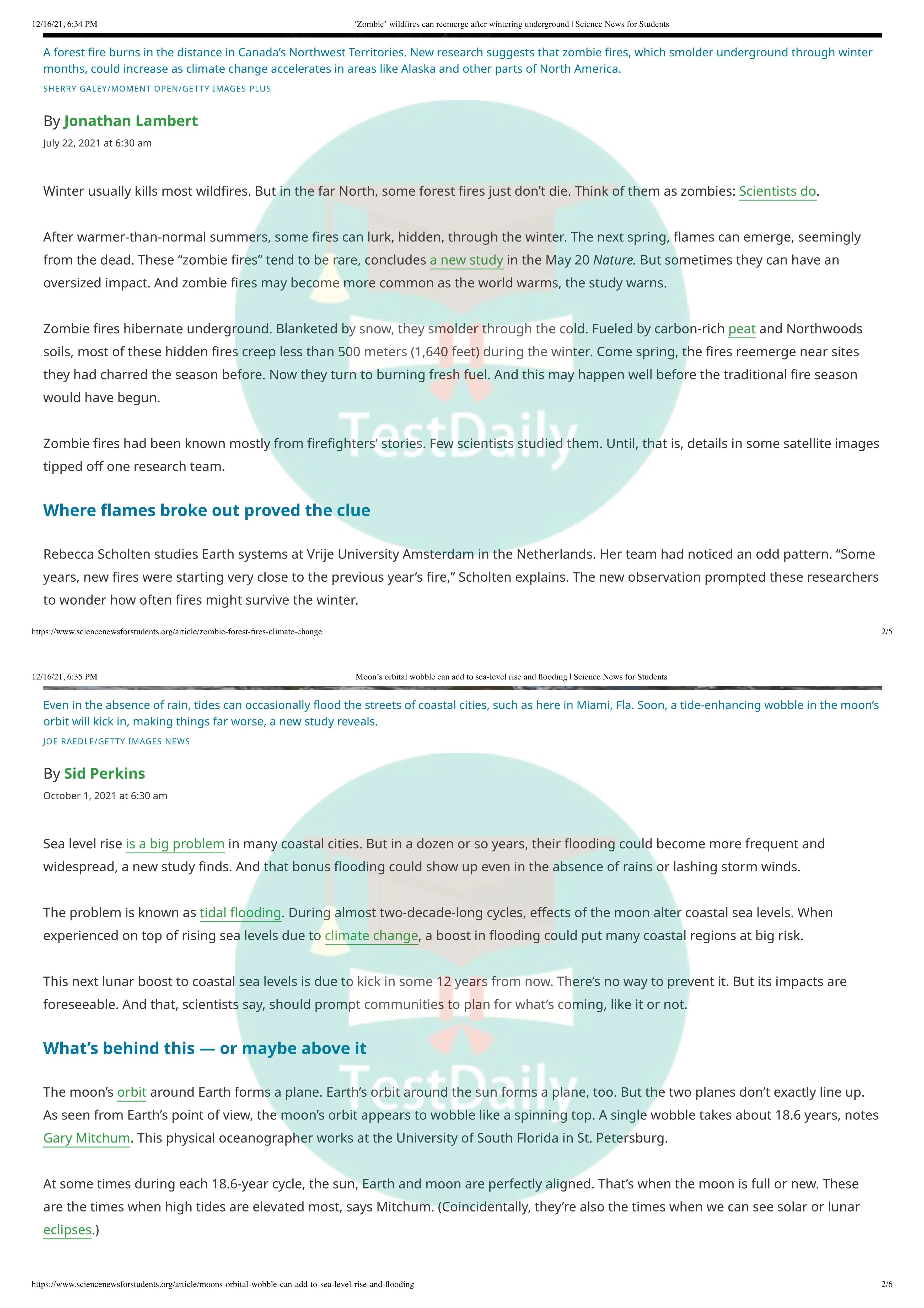 STEMд������������Ϯ����������¿����ڡ�ŦԼʱ�����İ���