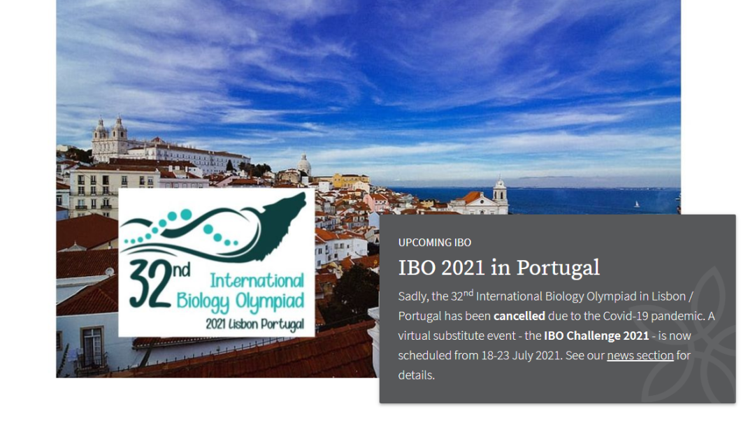 ������ѧ�������������ƥ�˾���IBO����У����ש��