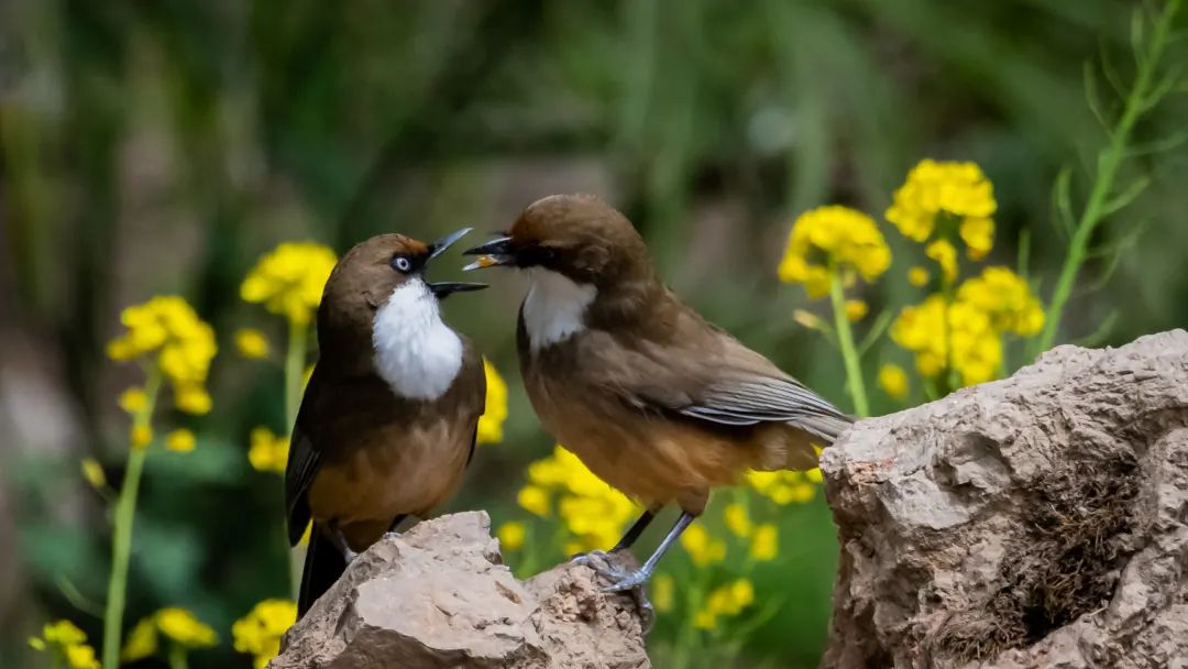 ȫ���ѧ��Ӱչ����SPC��