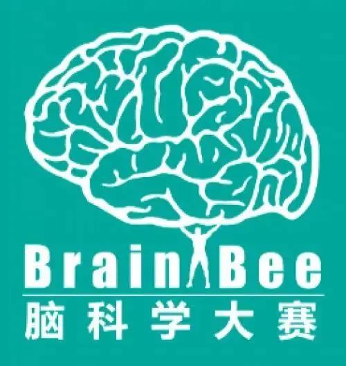 ��BrainBee��|ţ������У����ϵͨ��֤���Կ�ѧ֪���ڿ�Neuron��־�����Ļƽ���