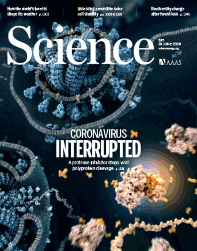 ���ѡ��iGEM���ʻ��򹤳̻������������ϳ�����ѧ����������