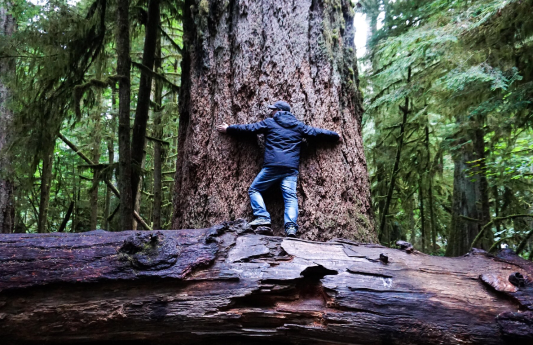 ŦԼʱ���ٷ��Ƽ�ȫ�꾺�������ɴ����ĵ��ż��ߺ������������������